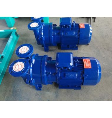 2XZ型旋片式真空泵廠家-揚州達瑞